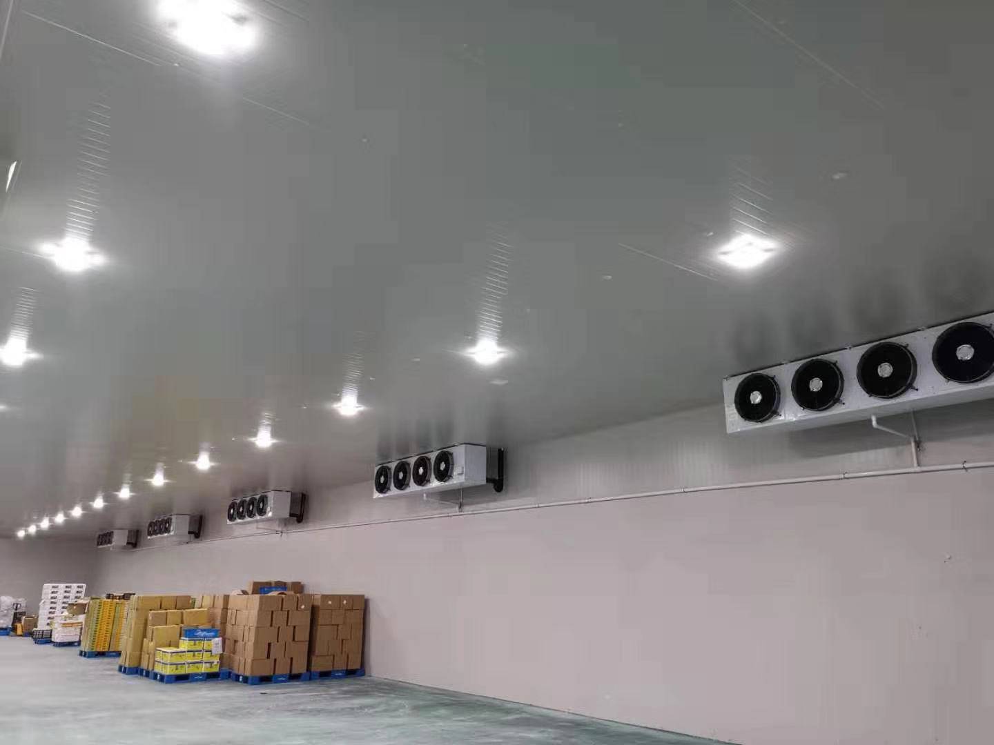 城市周邊建造一個8800平生鮮電商冷庫設計安裝費用？